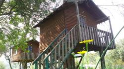 Olympos Woods