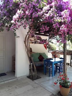 Paradise Garden Gümüşlük Evleri