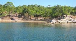 Ada Camping