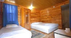 Acar Pension