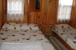 Acar Pension