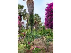 Tamarisk Murat Hotel