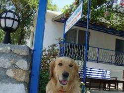 Mavi Akvaryum Otel