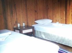 Captain Eudemos House Olympos