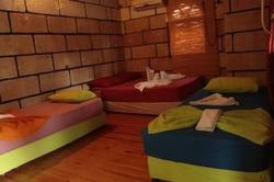 Captain Eudemos House Olympos
