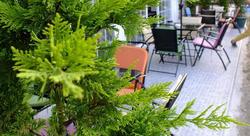 Real King Boutique Hotel