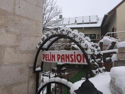 Pelin Pension