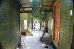 Olimpos Zeytin Pansiyon
