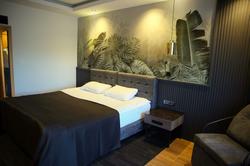 Amorium Wooden Stone House