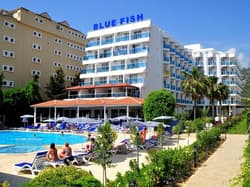 Blue Fish