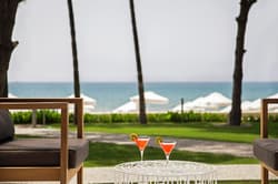 Acanthus and Cennet Barut Collectio