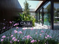 CAJA BY MAXX ROYAL