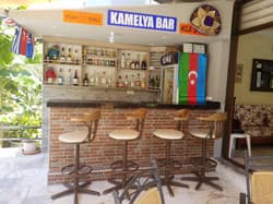 Kamelya 