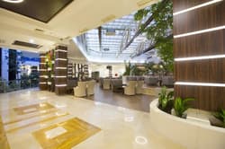 Washington Resort & Spa Hotel