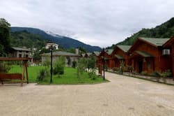 Teona Bungalov
