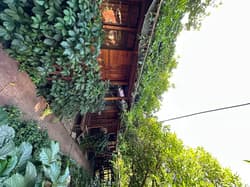 Natural Pansiyon