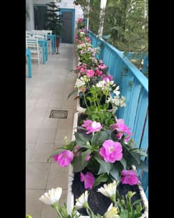 Adana City Butik Hotel