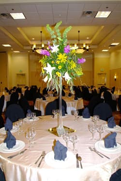 Hilton Garden Inn Albany