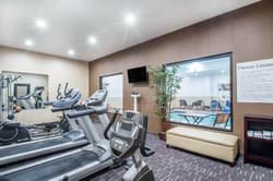 Holiday Inn Express & Suites Albany Airport - Wolf