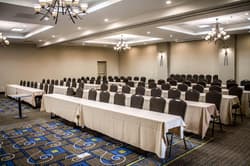 Holiday Inn Express & Suites Albany Airport - Wolf