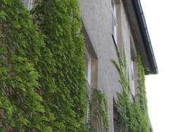 Seifert Pension