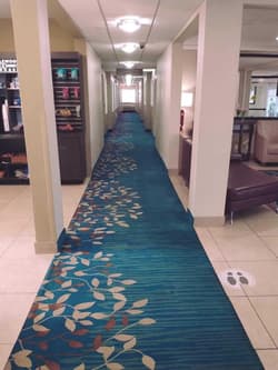 Candlewood Suites Houston Medical Center