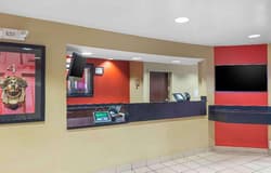 Extended Stay America - Jacksonville - Camp Lejeun