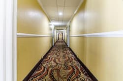 Rodeway Inn & Suites Jacksonville Near Camp Lejeun