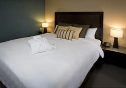 The Orlando