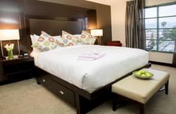 The Orlando