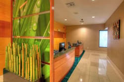 SpringHill Suites Tampa Brandon
