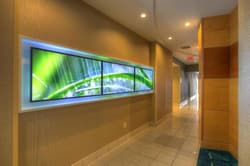 SpringHill Suites Tampa Brandon
