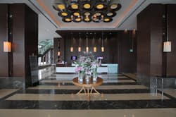 Anemon Samsun
