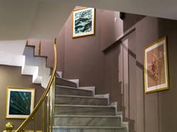 Molton Monapart Mecidiyekoy