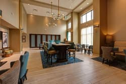Hampton Inn & Suites Tampa Busch Gardens Area