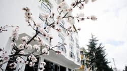 Koza Suite Hotel