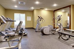 Holiday Inn Express and Suites Albany