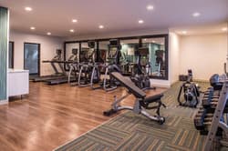 Holiday Inn Express and Suites Albany
