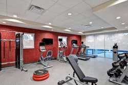 Home2 Suites Tampa Usf Near Busch Gardens