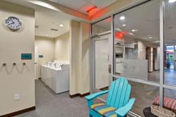 Home2 Suites Tampa Usf Near Busch Gardens