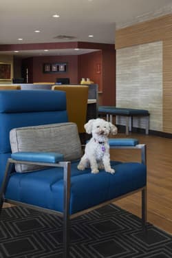 TownePlace Suites Austin Round Rock