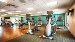 Holiday Inn Exp & Sts Houston SW - Galleria Area