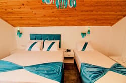 Dam Hotel Lara