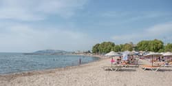 9Bodrum Hotel