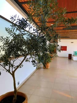 Zest Exclusive Hotel And Spa