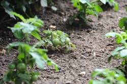 Ontur Butik Otel Ankara