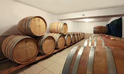 Vinifera Hotel Yedibilgeler Vineyards