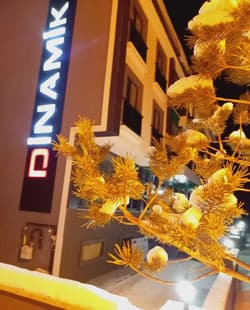 Dinamik Otel Sarikamis