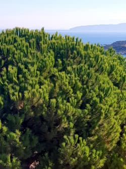 North Wind Hotels Karaburun