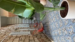 Noas Boutique Hotel